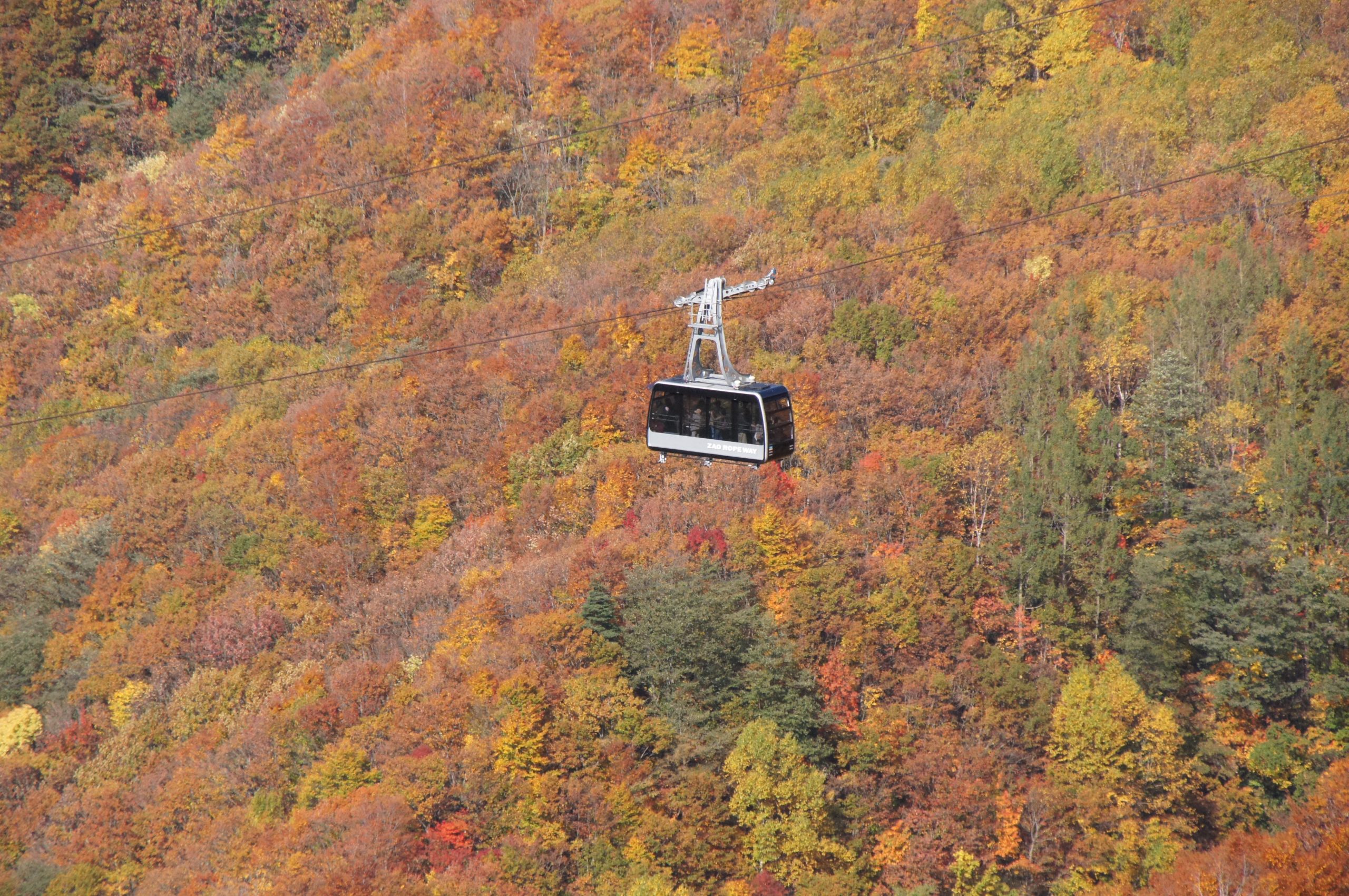 【紅葉情報】蔵王温泉の紅葉が色づき始めました！ロープウェイで蔵王の大パノラマを満喫